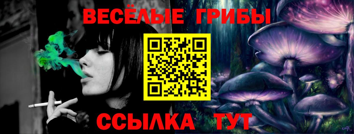 Галлюциногенные грибы мицелий  наркошоп  Псилоцибиновые грибы ЛСД  Заводоуковск  Вход с VPN 